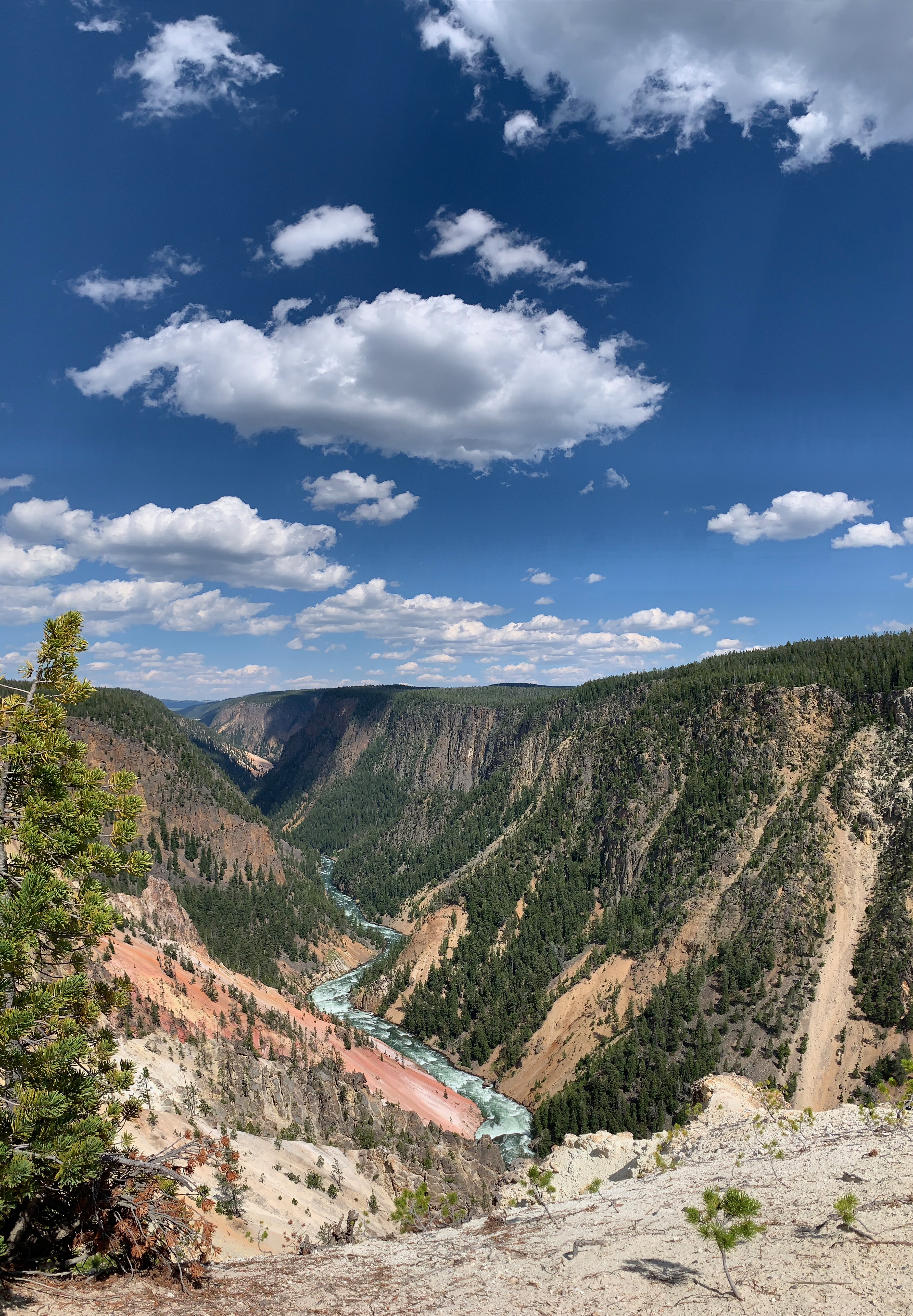 Red rocks in the Grand Canyon of Yellowstone